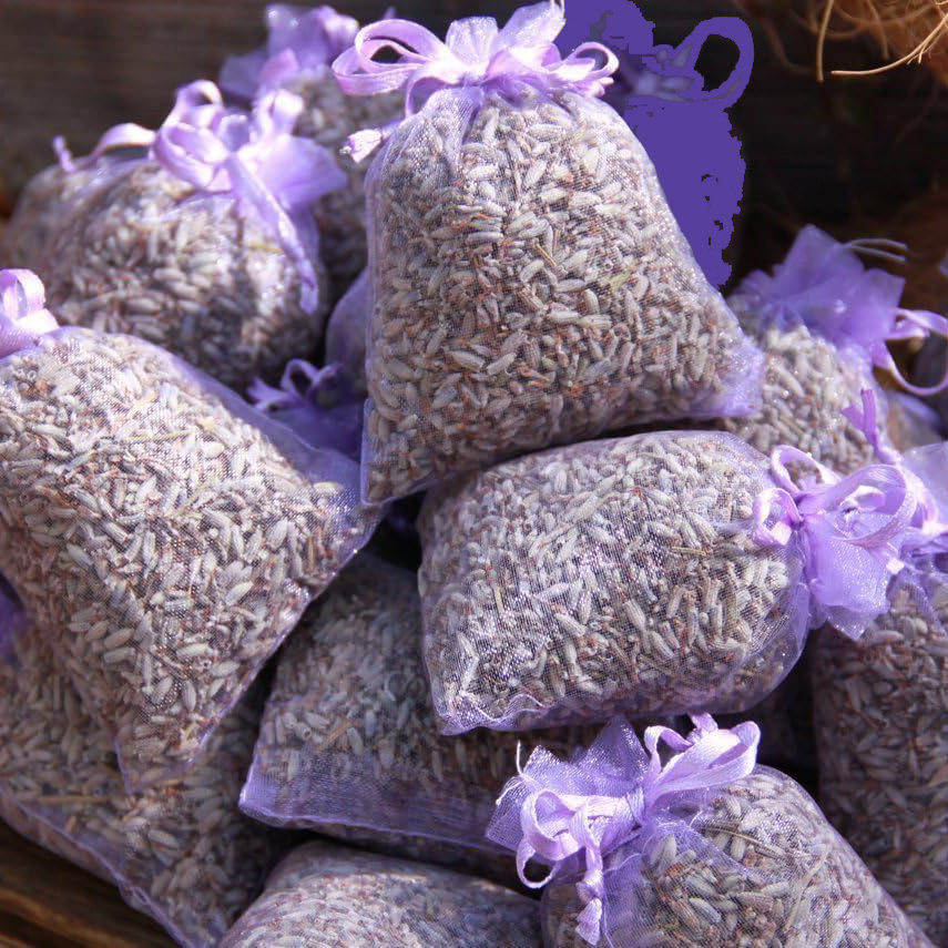 Home Fragrance Sachet - 10Pcs Natural Lavender Sachets Real Preserved