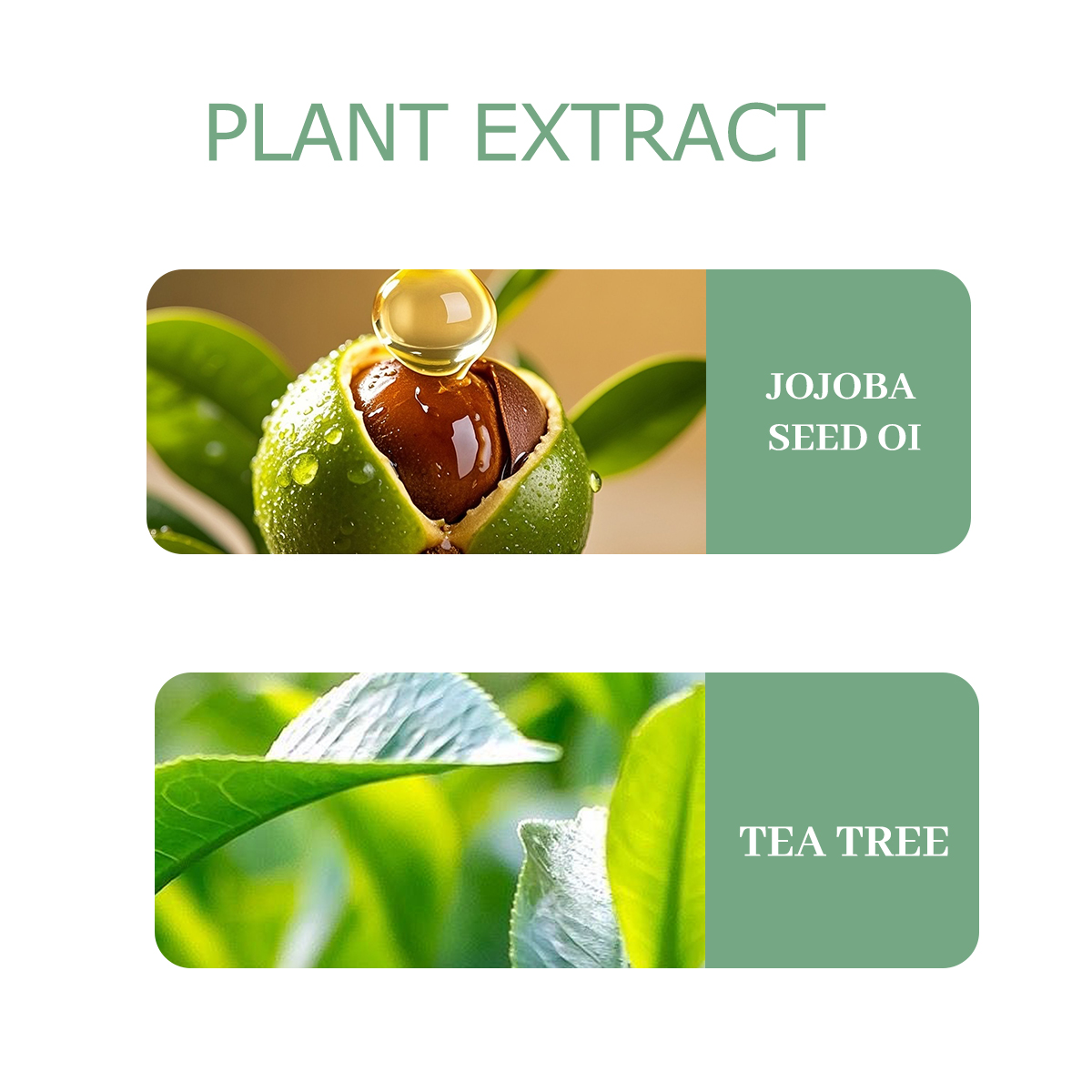 NIVAVIN 30ml/60ml/100ml Tea Tr - đánh giá và giá Home Fragrance Co