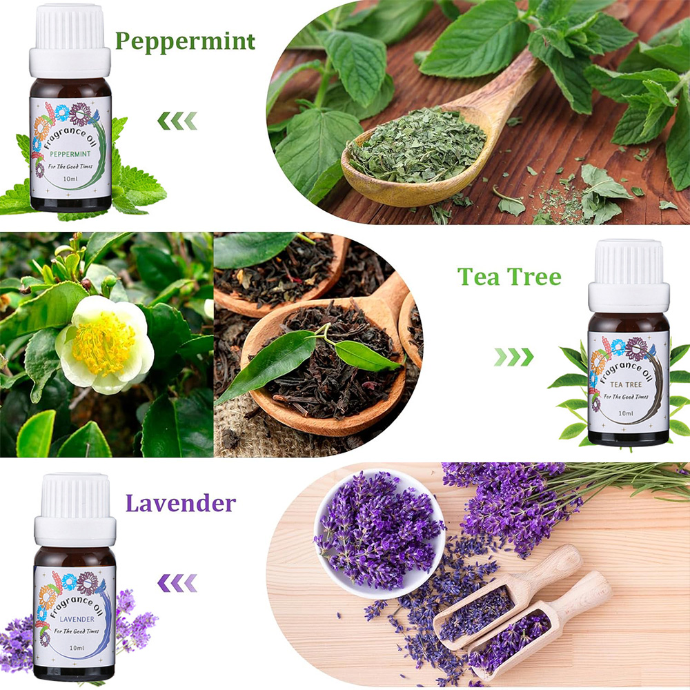 Essential Oils for Diffusers f - đánh giá và giá Home Fragrance Lemongrass