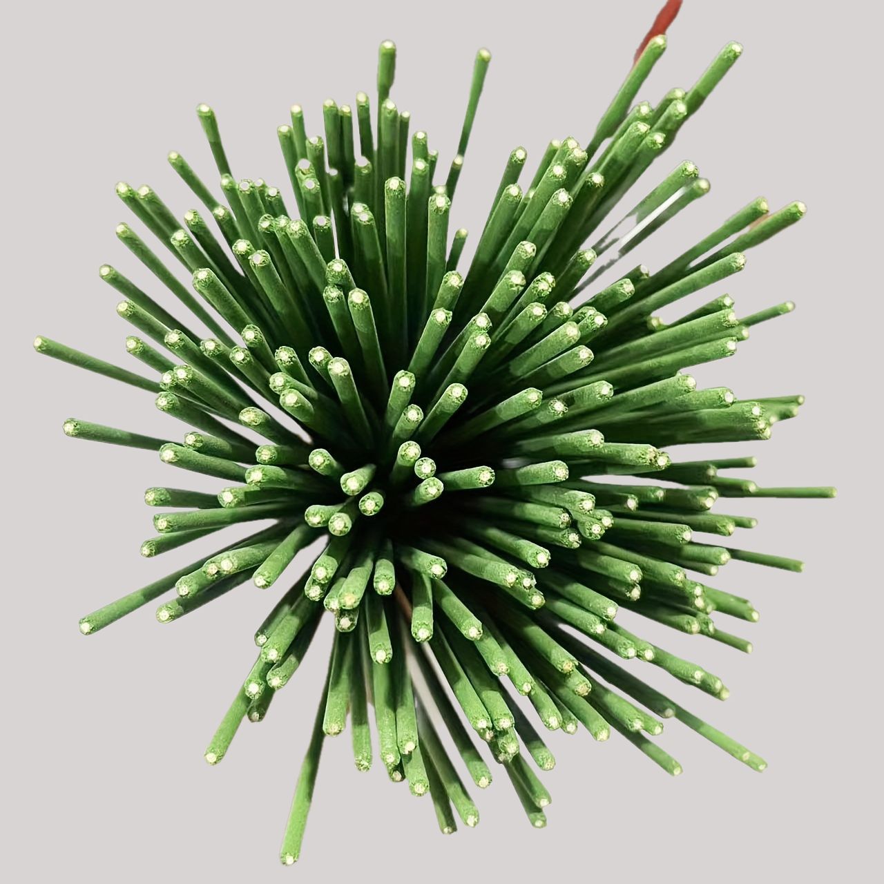 Reed Diffuser Sticks Lemongras - đánh giá và giá Home Fragrance Lemongrass