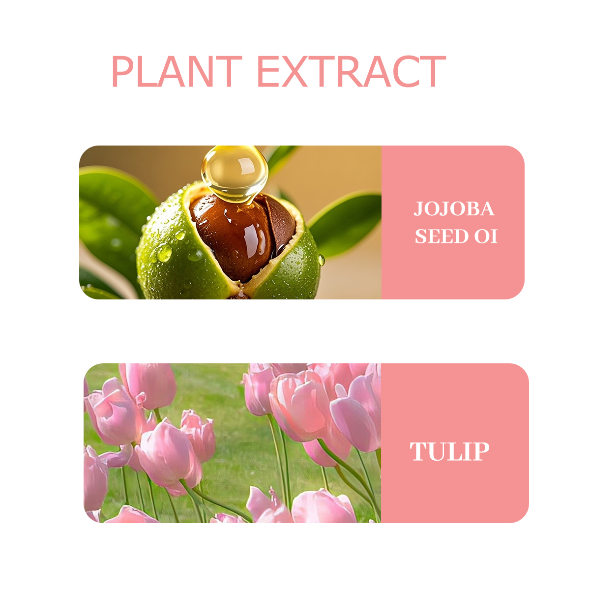 NIVAVIN 30ml/60ml/100ml Tulip  - đánh giá và giá Home Fragrance Co